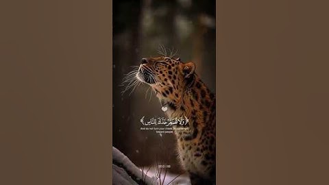 اكتب شيء تؤجر عليه 🩶😴 #القارئ_ياسر_الدوسري #karim_quran_1