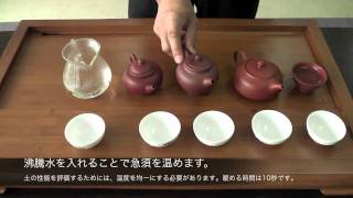 文平窯清水謙 無名異焼急須 お茶専門店HOJO