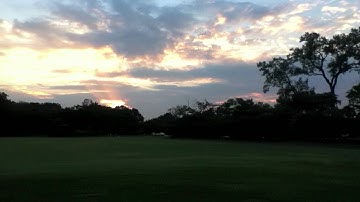 Align T-rex 450 Pro DFC 3D Flight