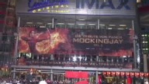 Jennifer Lawrence and cast of 