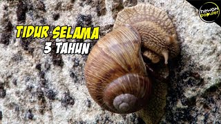 fergek felnottkent hogyan kell hozni mire képesek a rossz férgek