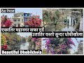         kmc cleaning dhobikhola  flower beauty