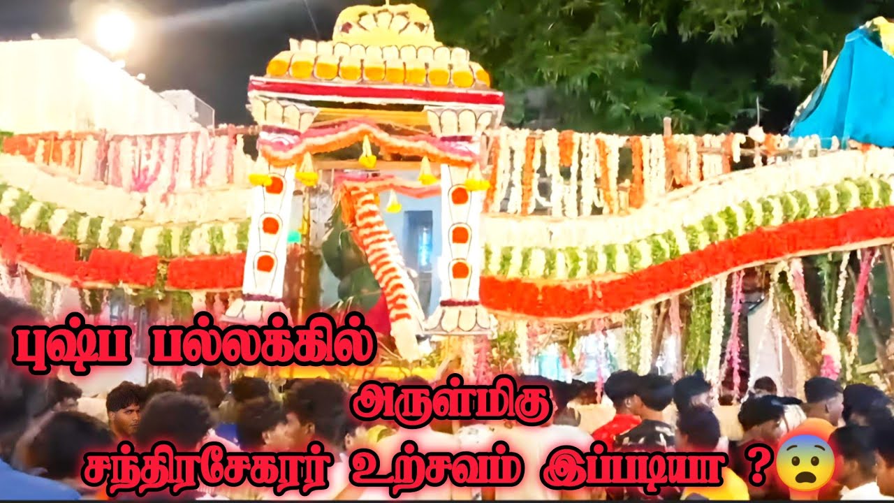 புஷ்ப பல்லக்கில் அருள்மிகு சந்திரசேகரர் உற்சவம் இப்படியா ?😨 @omkarbhakthi