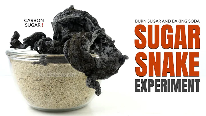 BLACK FIRE SNAKE EXPERIMENT - Burning Sugar and Baking Soda