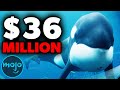Top 10 Most Expensive Animal Actors