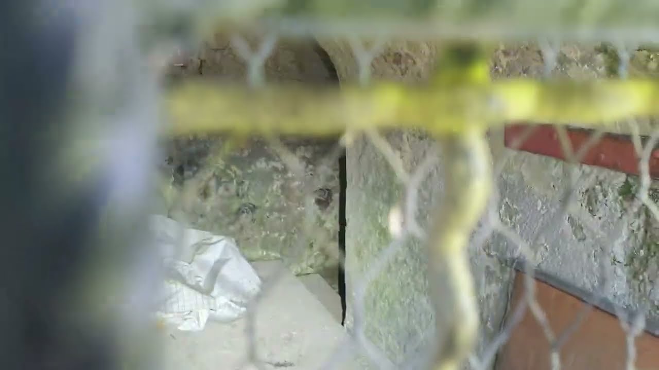 Bunker oder Schacht / Stollen / Tunnel / Lost Place etc. gefunden - Was könnte das sein?