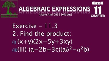 Class 8 Algebraic Expressions Exercise - 11.3