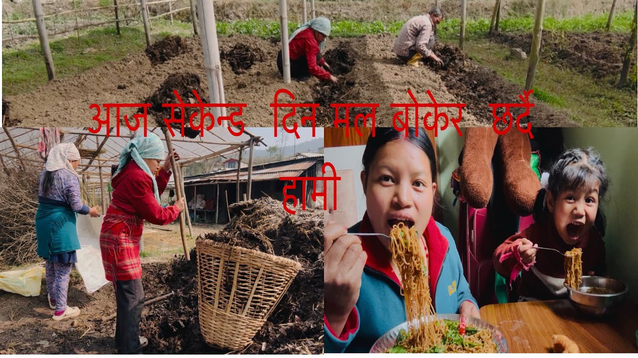 Volg eps-41 आज सेकेन्ड  दिन भोलि नानी  हरु! को संगै  हाम्रो  पनि बिदा😆