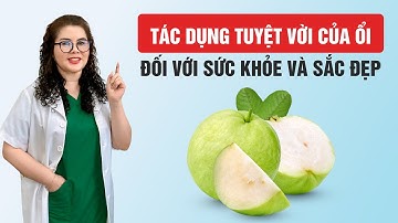 Tác Dụng Tuyệt Vời Của Ổi Đối Với Sức Khỏe Và Sắc Đẹp Của Bạn | Dược Sĩ Nguyên 5G