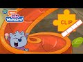 Youtube Thumbnail title