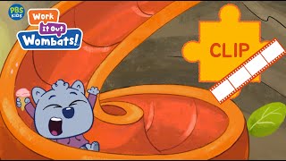 CLIP: Chutes and Ladders | Work It Out Wombats! on PBS KIDS