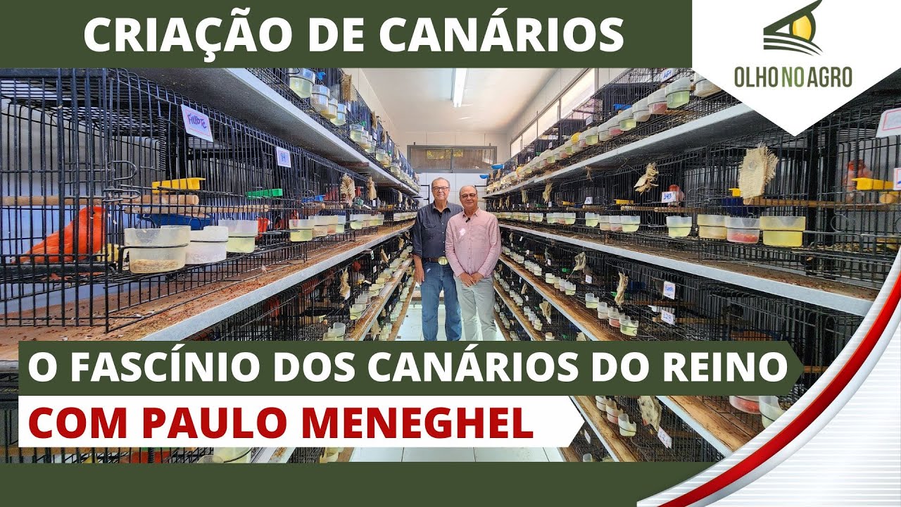 UM MERGULHO NO UNIVERSO DA CRIAÇÃO, ONDE HÁ BELEZA, DEDICAÇÃO E PAIXÃO