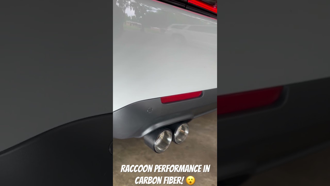 Added some carbon fiber tips to the Scat from Raccoon Performance!