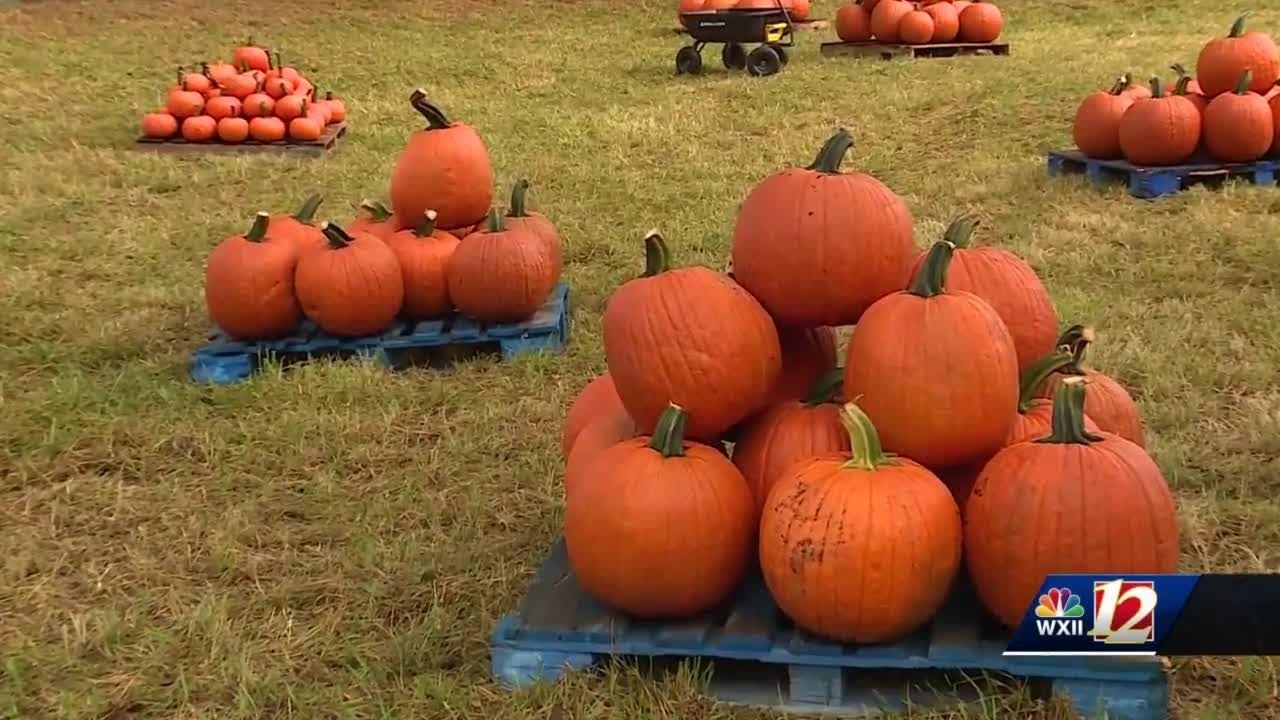 Dobson farm reopens after family comes back together during coronavirus