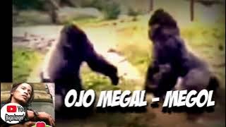 OJO MEGAL - MEGOL LAGU POP JAWA HITS @bagaskangen9171