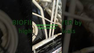 SLIME KILLA /BIOFILM  DRAIN application 2/2 #highsidechemicals #biofilmremover#clogdrainline #slime