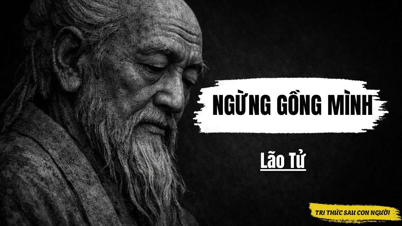 Triết Lý Lão Tử: Vì Sao Sự Bận Rộn Là Dấu Hiệu Của Một Tâm Hồn Nghèo Nàn | TƯ DUY SAU CON NGƯỜI