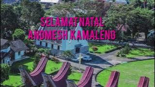 Lagu Natal Terbaru 2021/2022 || Andmesh Kamaleng-Selamat Natal