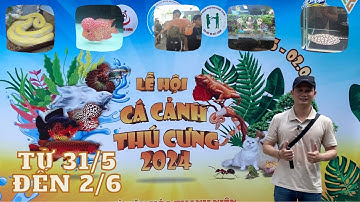 LỄ HỘI CÁ CẢNH VÀ THÚ CƯNG 2024