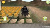 Play games on android with sashaabc