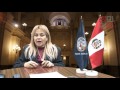 ACCESO A LA JUSTICIA Y LAS 100 DE REGLAS DE BRASILIA - Dra Fatima Castro Aviles