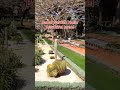 Beautiful City of Haifa, Bahai Garden Haifa Israel