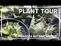 アガベ！PLANT TOUR | 多肉と塊根植物編 | 植物と暮らす | 初心者 | 観葉植物 | インテリアのコツ | サボテン| ポップアップストア