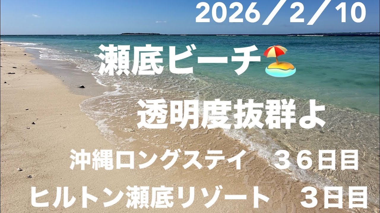ヒルトン瀬底リゾートで避寒滞在中。沖縄やっと暖かい❣️居心地抜群よ♪公共のバスが無くなり車椅子♿️移動では楽しみにして毎日行ってた熱帯植物園も通い無理ね。調査不足でした💦でも瀬底ビーチに癒ています😃