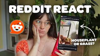 HOUSEPLANT REDDIT | scam seeds, ignoring advice, & dead plants... 👀