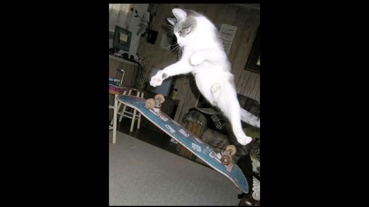 Love game bread beatz. Love game bread beatz. Love game bread beatz. Love game bread beatz. Love game bread beatz.