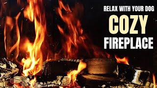 Fireplace Relaxation| Crackling Wood Sound |Therapeutic Sounds by The Wolf and Bears 62 views 4 months ago 1 hour, 1 minute