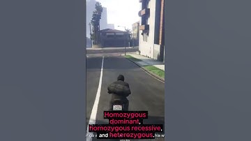 N5 Biology 2.4 Variation #biology #exam #gcse #n5 #revision #studying