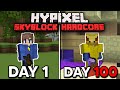 I Survived 100 days in Hypixel Skyblock Hardcore