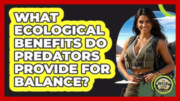 What Ecological Benefits Do Predators Provide For Balance? - The Wild Life Explorer
