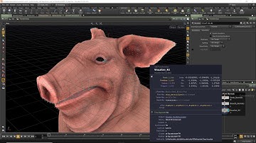 Transform SOP | Attributes | Node Reference