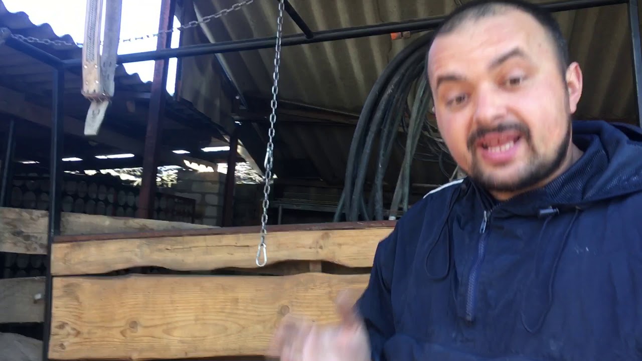 Подробно о беговой дорожке для собак