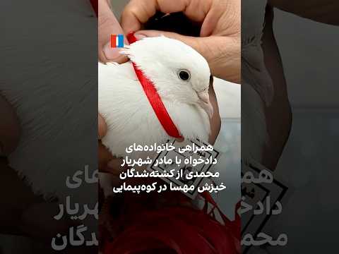 همراهی خانواده های دادخواه با مادر شهریار محمدی از کشته شدگان خیزش مهسا در کوه پیمایی