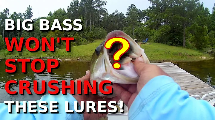 Make September Bass Fishing EASY With These Lures And Tricks!!!!