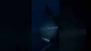 #DeepSea #Ocean #ScubaDiving #Underwater #Exploration #LostTreasures #Mystery 🔥