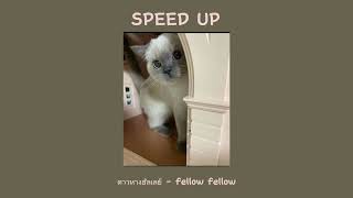 ดาวหางฮัลเลย์ - fellow fellow (speed up)