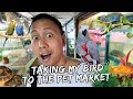 Taking My Bird to the Pet Market | Vlog #404