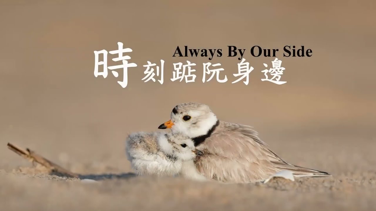 好牧者聖歌隊 Good Shepherd-TPC Choir 2021 05 02 Anthem 時刻踮阮身邊