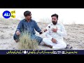 Laddo latest nazam 2020  voice sajjad raz  ali tv 4k