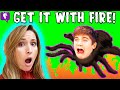 GET THE SPIDER! Skit, Prank and Gaming with HobbyFamily