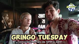 GRINGO TUESDAY |  Bar EDEN