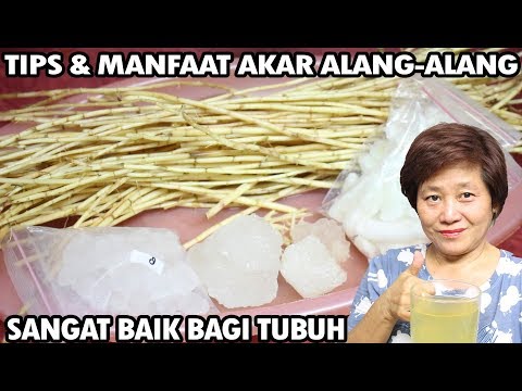 Video: Apa Yang Bisa Dibuat Dari Alang-alang?