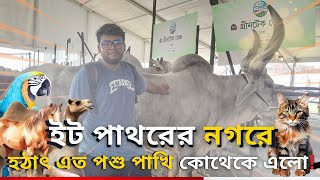 ব্যস্ত নগরী ঢাকায় হঠাৎ পশু পাখির আনা গোনা ।। Animal Fest | | Dhaka