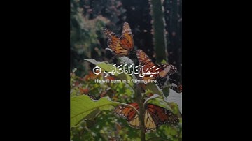 تبت يدا أبي لهب وتب | سورة المسد | القارئ مشاري العفاسي