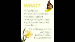 Why you SHOULDN’T mow your lawn in May: the shocking truth! #bee#bees #facts#workerbee#hive#savebees