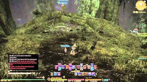 FFXIV F N BOTS !!!!!